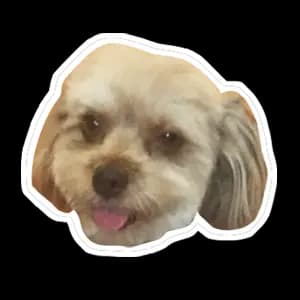 Marguerite Roth Icon